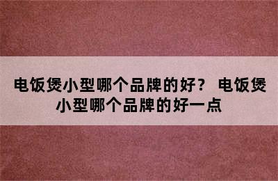 电饭煲小型哪个品牌的好？ 电饭煲小型哪个品牌的好一点